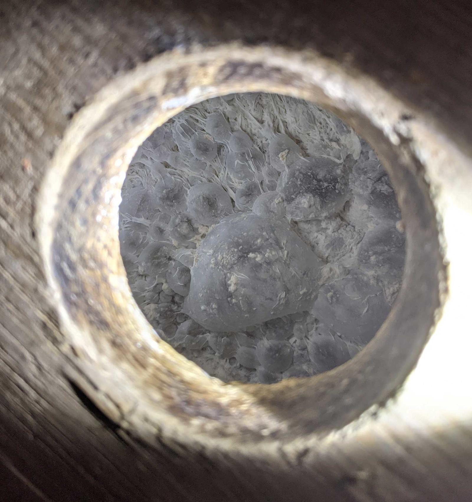 The Threefold Path: Floodland’s Adam Paysse Shares Insight on Rearing Mixed Cultures Primary Image