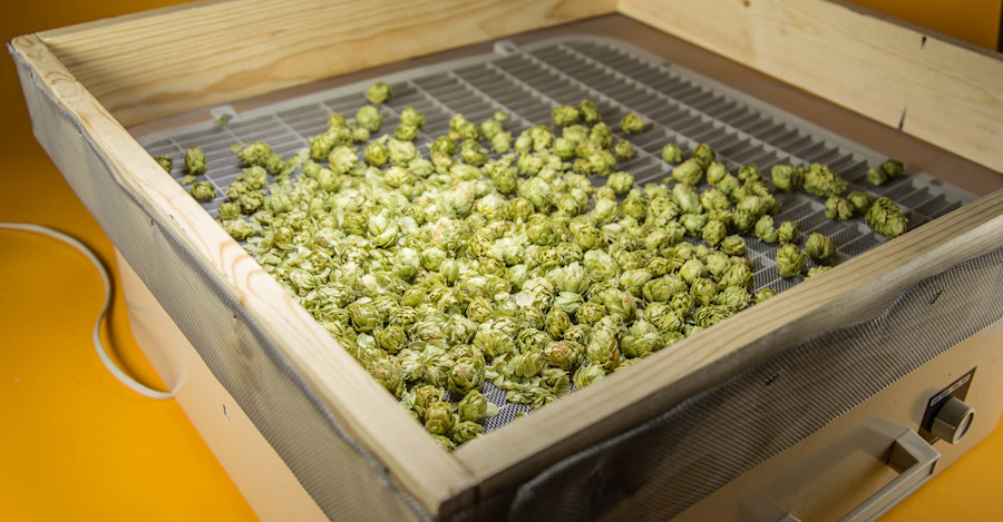 DIY: Hops Dryer Image