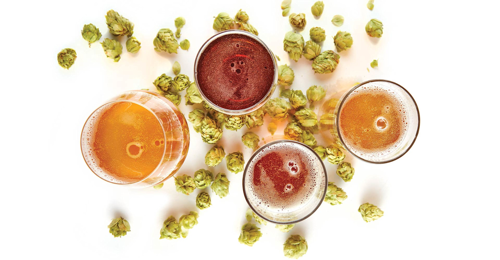 Hops and Lagers Primary Image