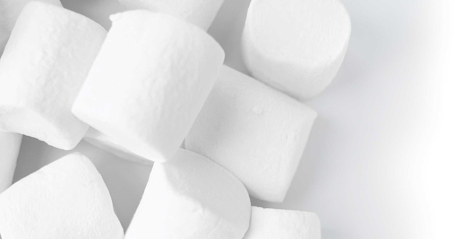 Special Ingredient: Marshmallow Primary Image