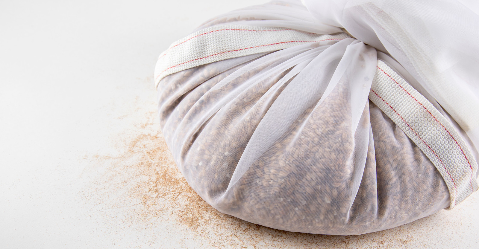 Learning Lab: The Foundations of Malt Primary Image