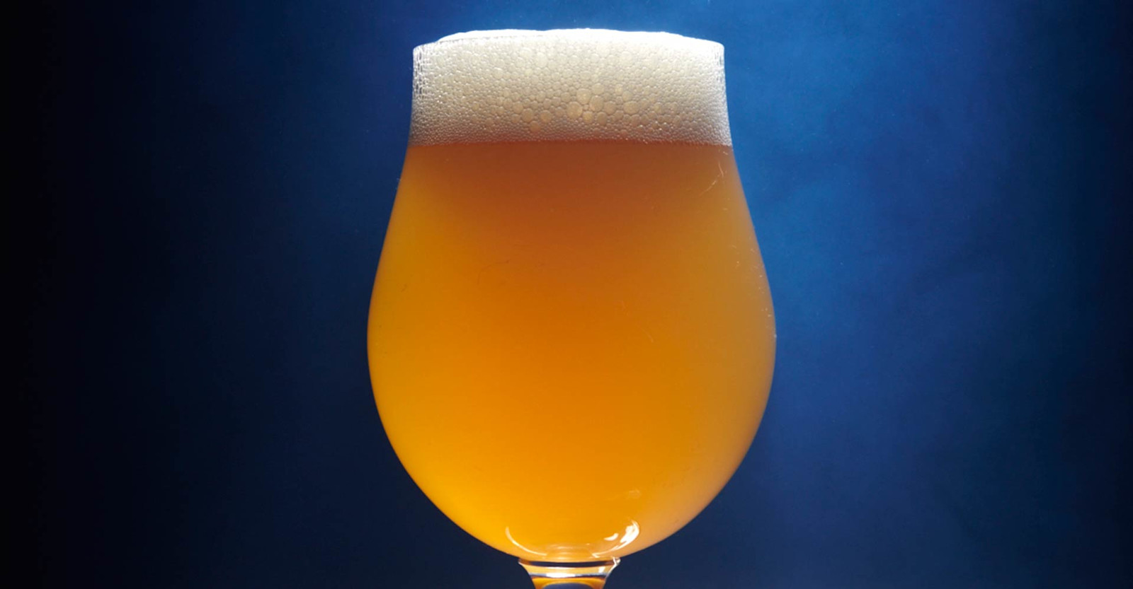 450 North Brewing Co. Fruity Nuggets IPA Recipe Primary Image