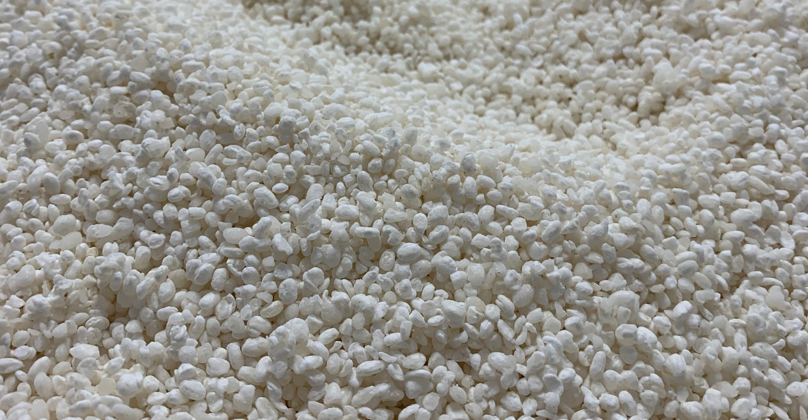 Sour in an Hour? Primary Image