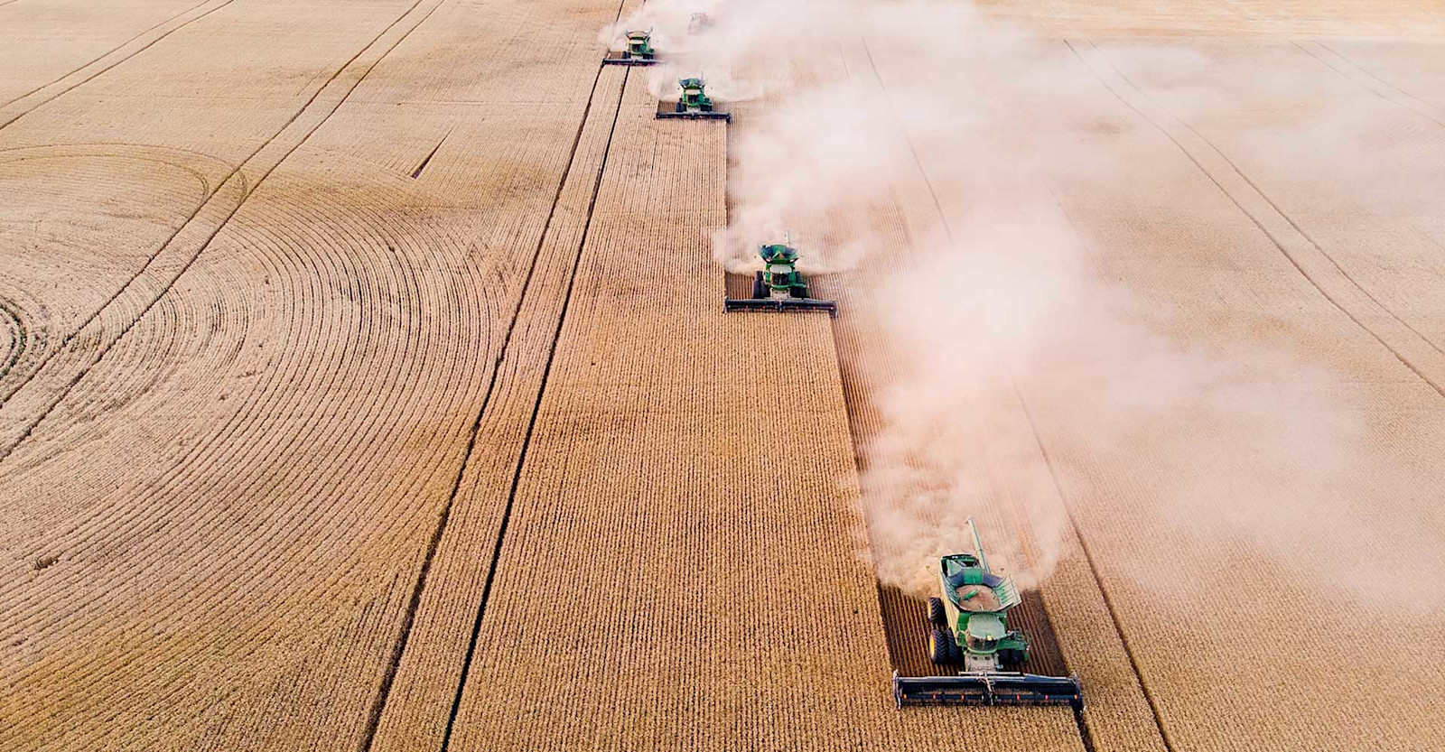 Farming for Craft: New Barley & Malt Varieties Respond to Brewer Demand Primary Image