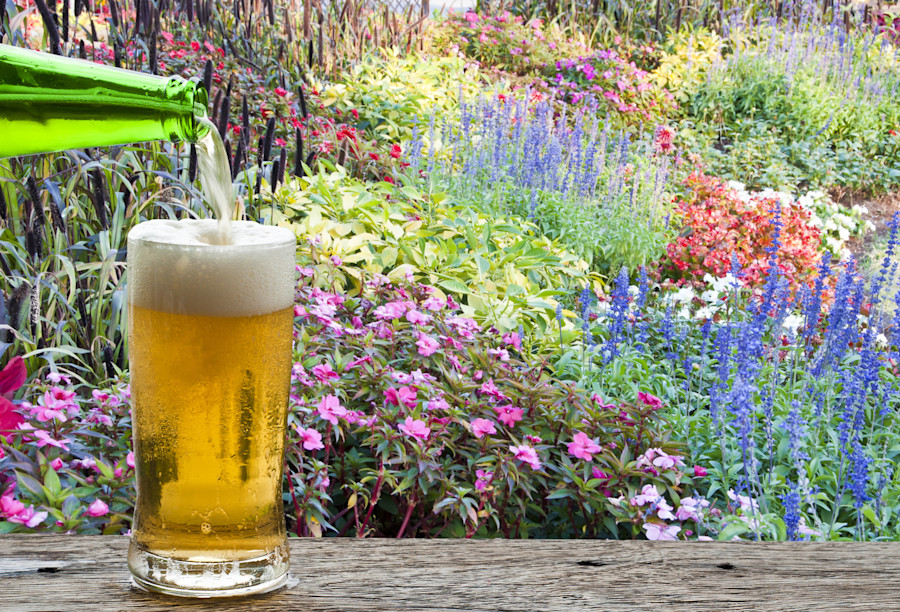 The Brewer’s Garden: Flower Power Part I Image