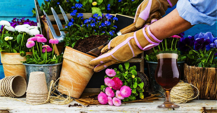 Handpicked: 19 Beers Brewed With Flowers Image