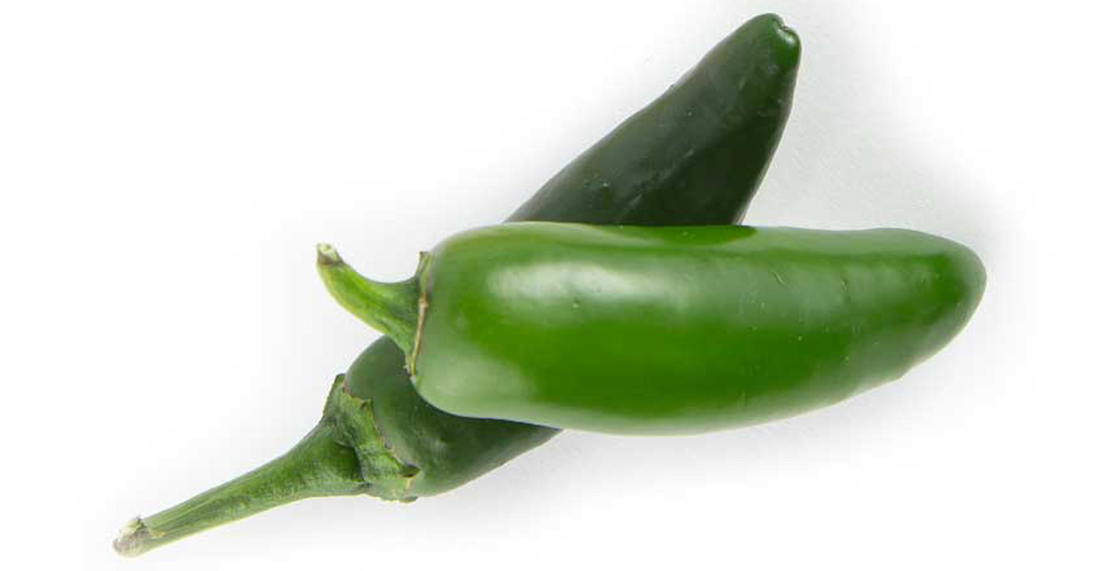 Water, Yeast, Malt, and Hot: Chile Beer 101 Primary Image