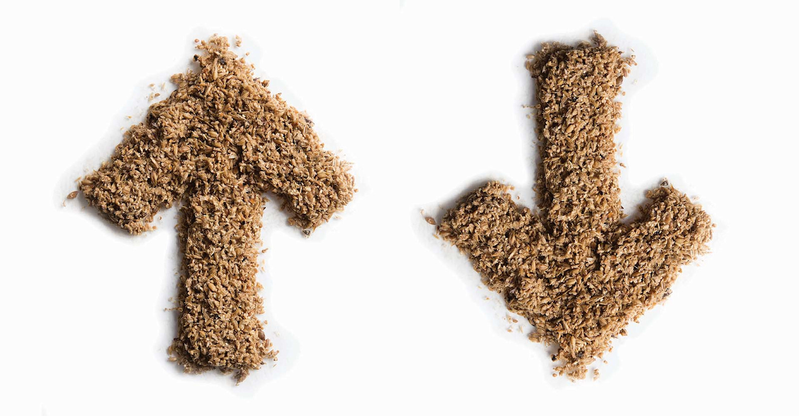 Should It Stay, or Should It Go? Primary Image