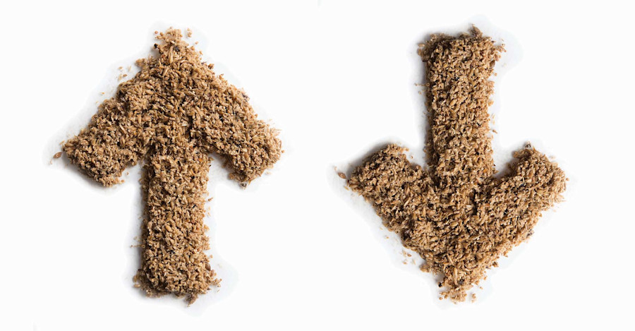 Should It Stay, or Should It Go? Image