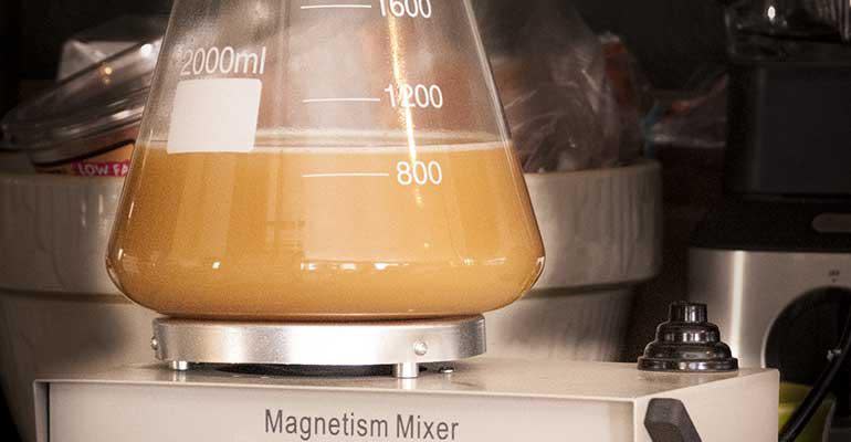 Homebrewing: Incremental Feeding Image