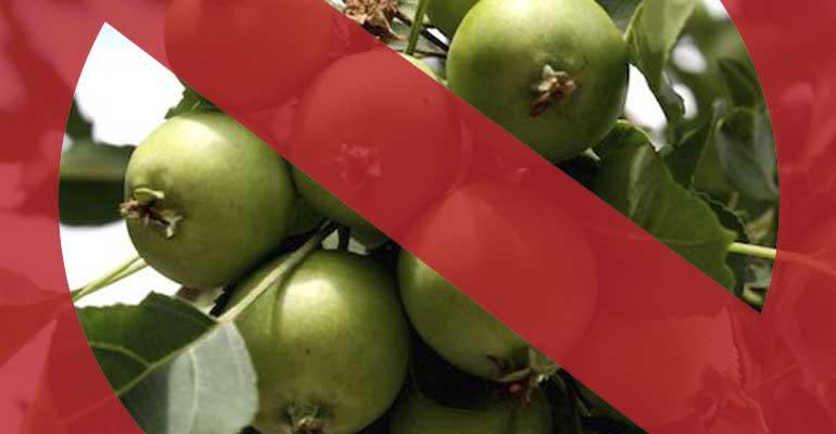 Off-Flavor of the Week: Acetaldehyde Image