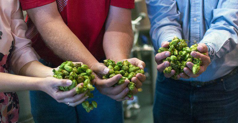 Hop The Vote: Upper Chamber Pale Ale or Representative Saison?  Image