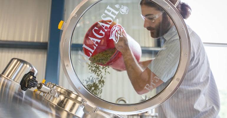 Beer Camp Collaboration: Myron’s Walk Connects Sierra Nevada and Allagash Primary Image