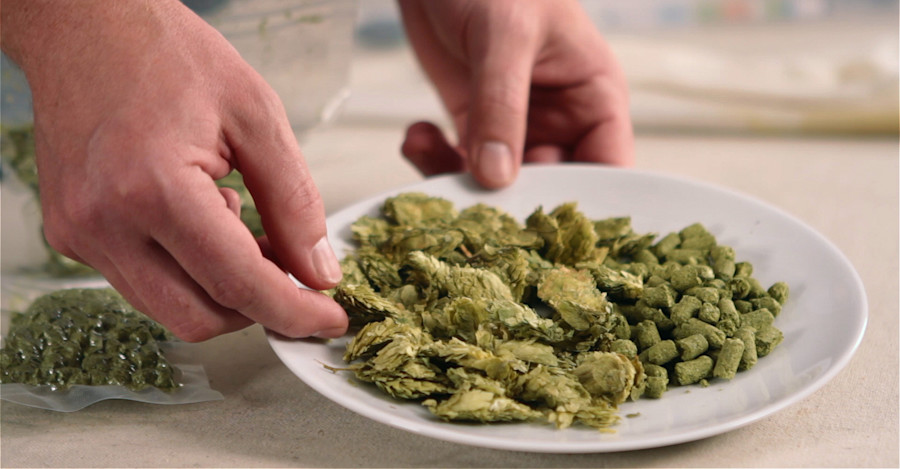 Exchange Rates V: Hops Utilization Image