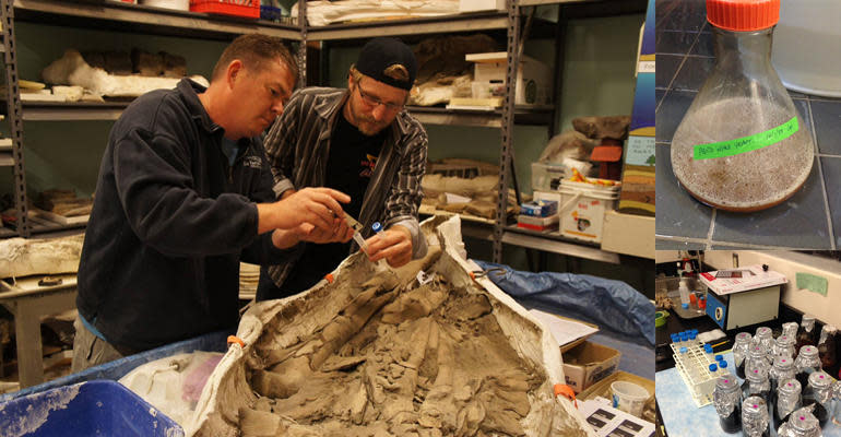 Bone Dusters Paleo Ale Image