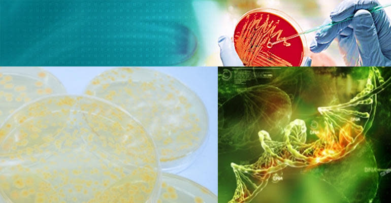 To Serve and Brew Image