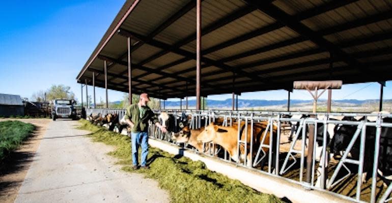 Feed for Thought Primary Image