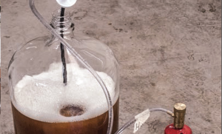 Air on the Side of Yeast Health Primary Image