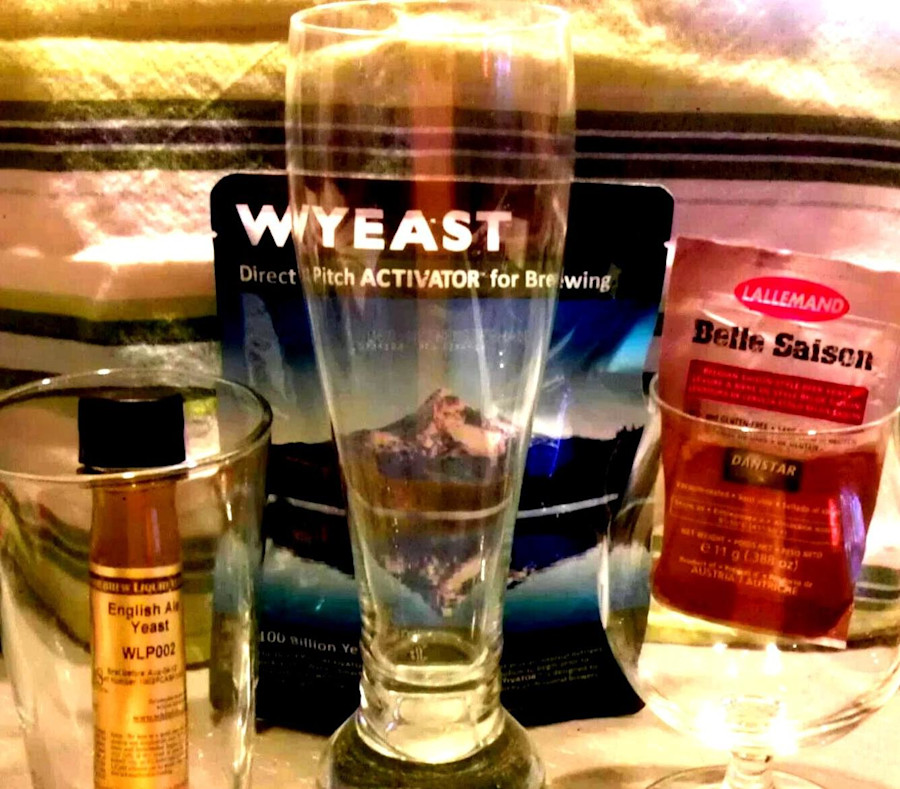 Liquid vs. Dry Yeast Image