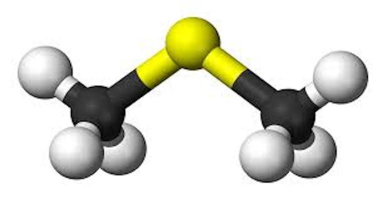 Does your Beer Taste Like Corn? Image