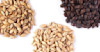 Malt Revealed Image