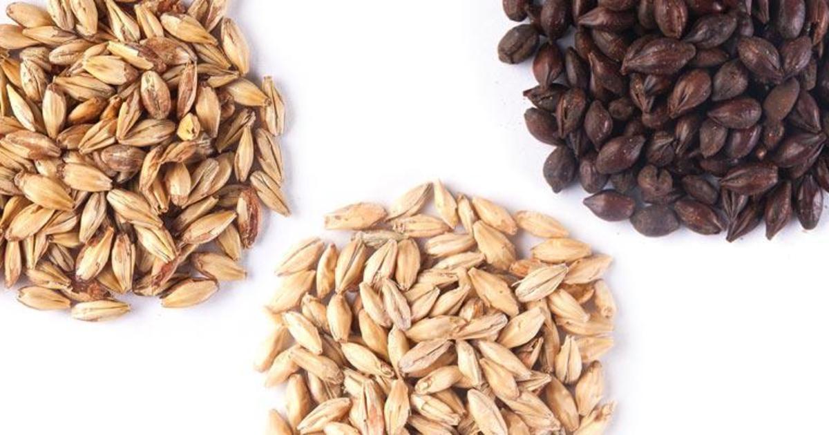 Malt Revealed Craft Beer Brewing
