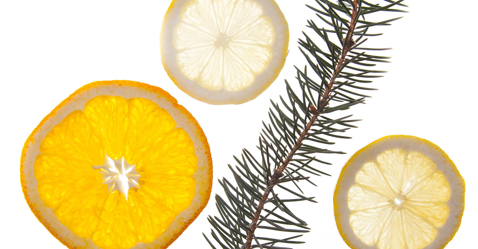 Gather No Moss – Inside The Alchemist's Heady Topper Primary Image