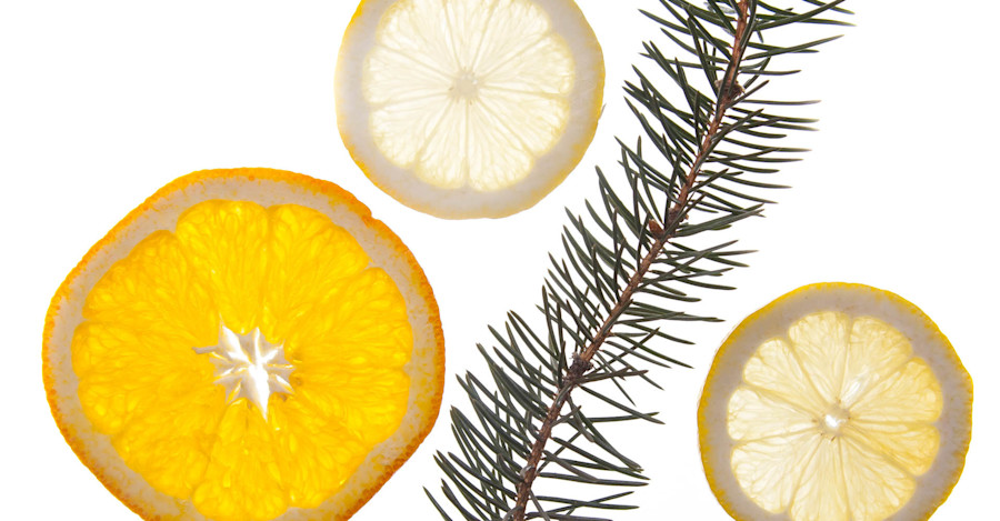 Gather No Moss – Inside The Alchemist's Heady Topper Image