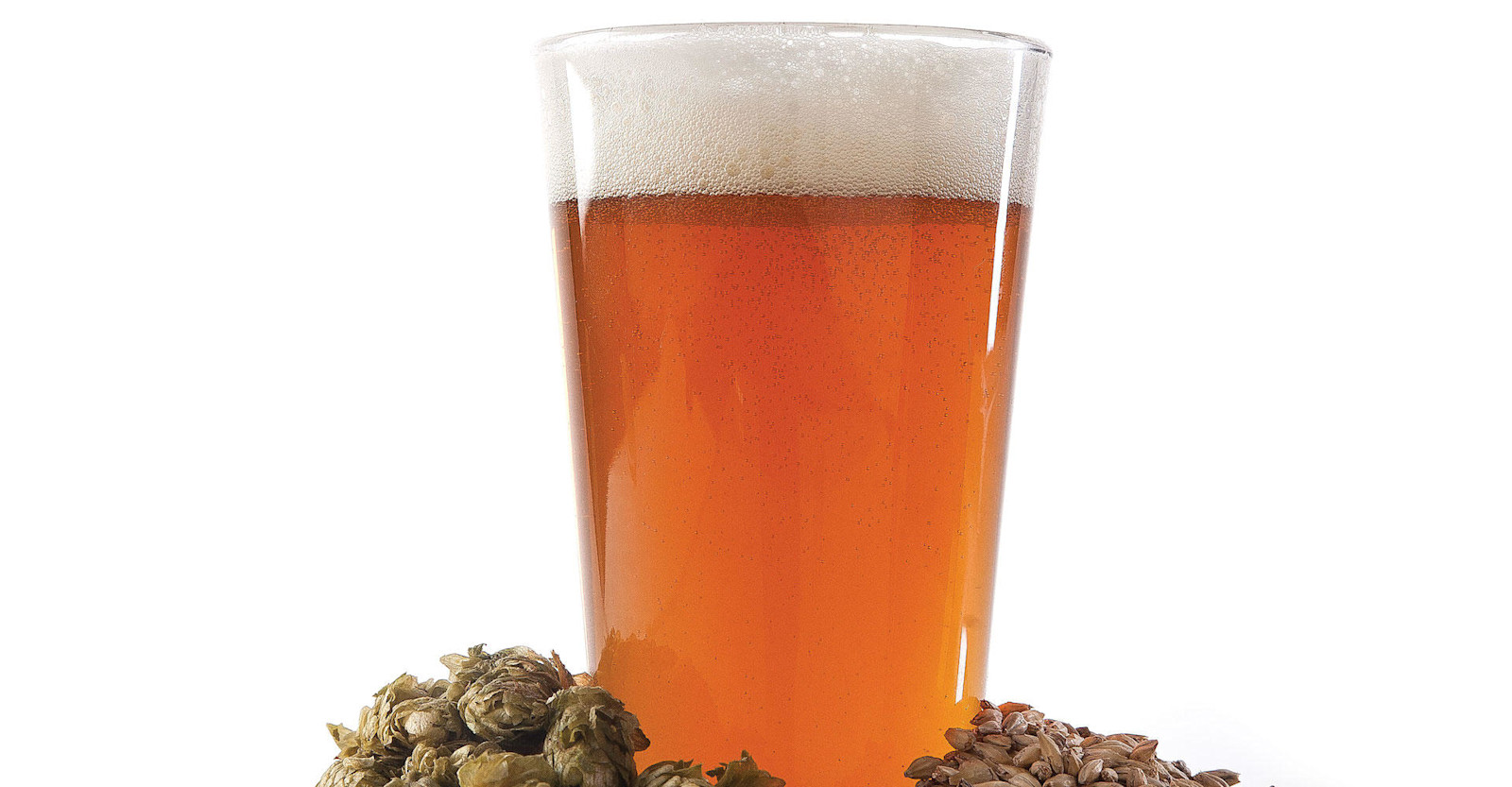 Make Your First Batch an IPA Primary Image