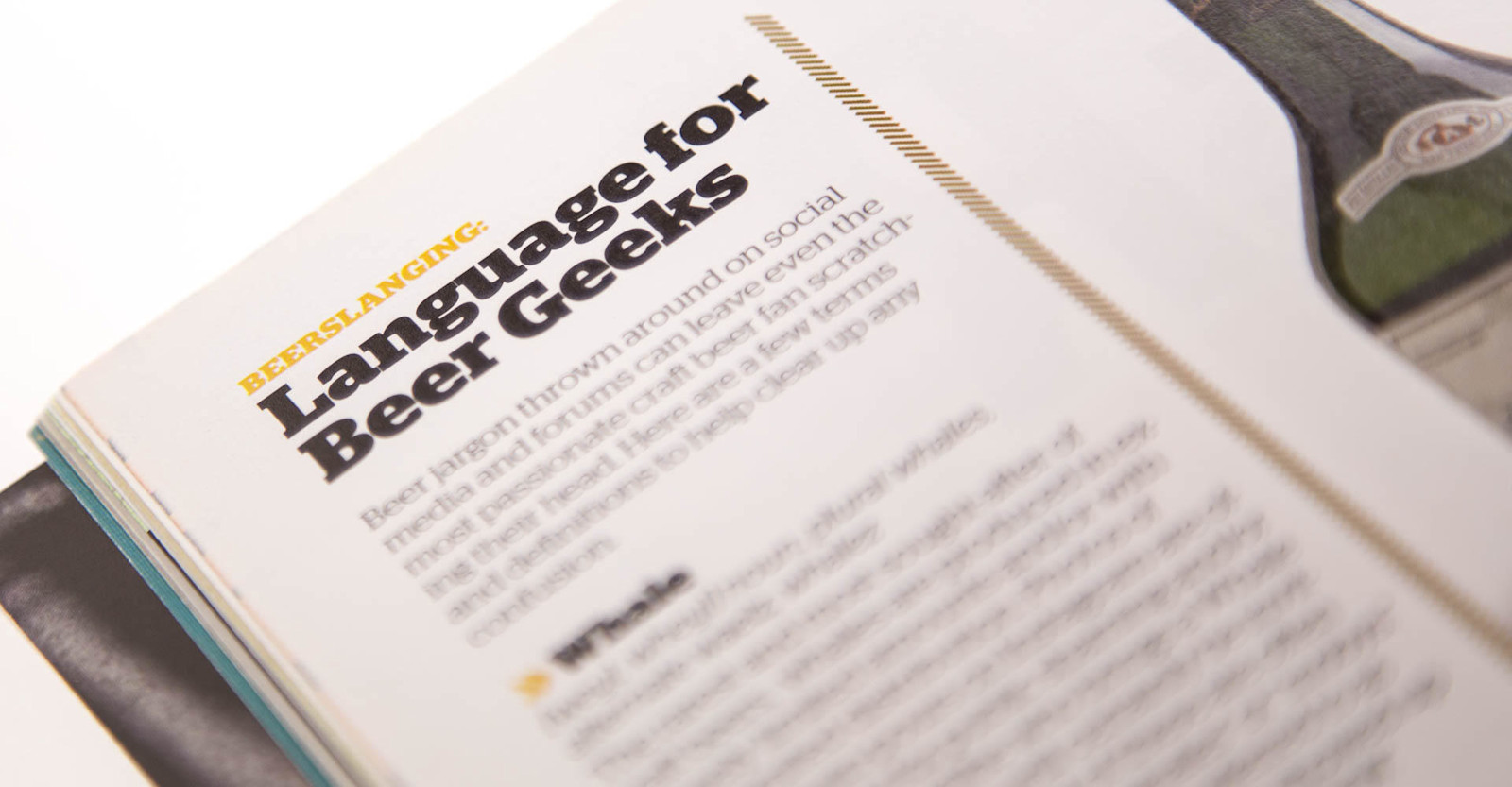 Beerslanging Primary Image