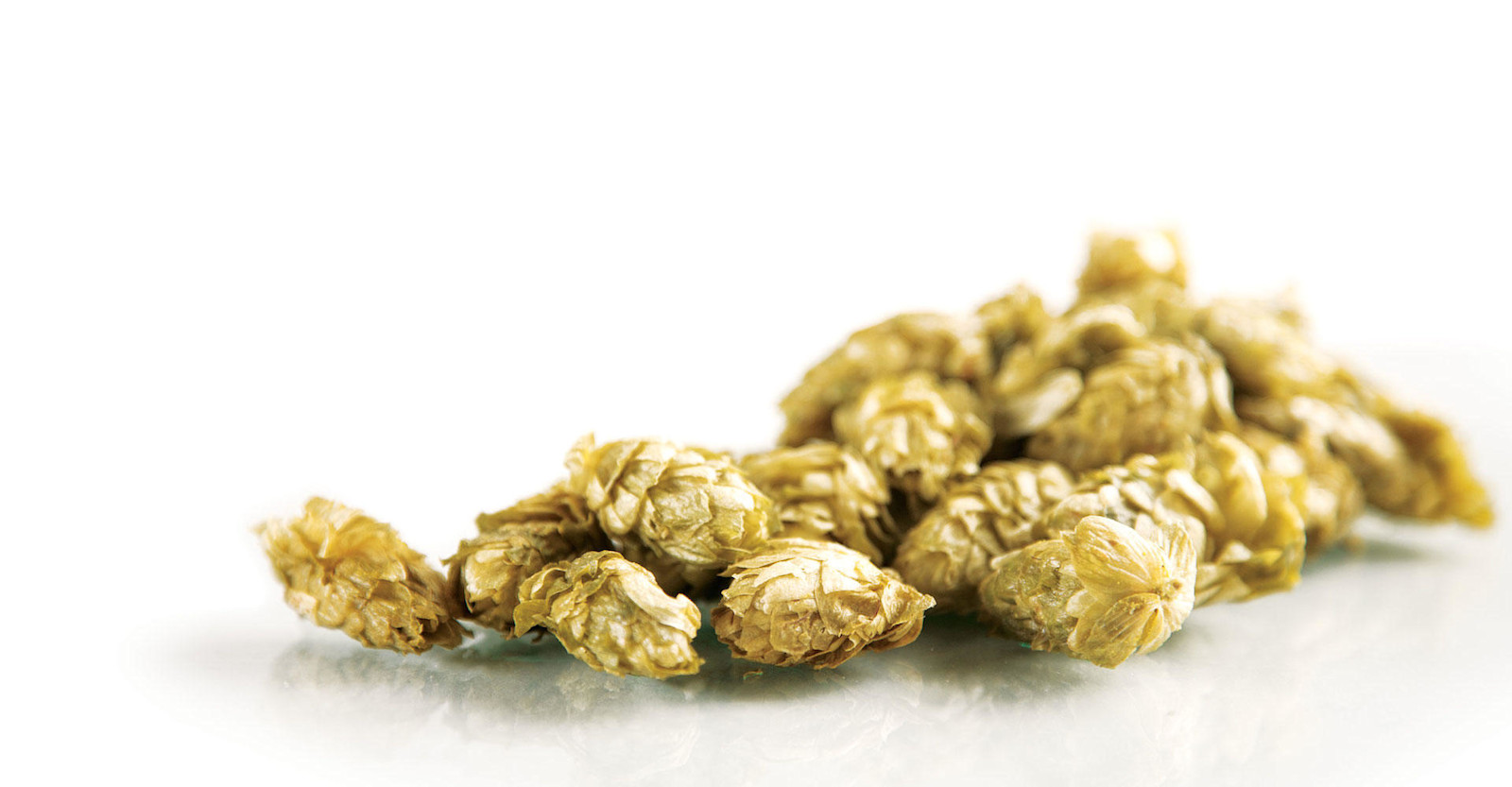 Beyond the Pale Primary Image