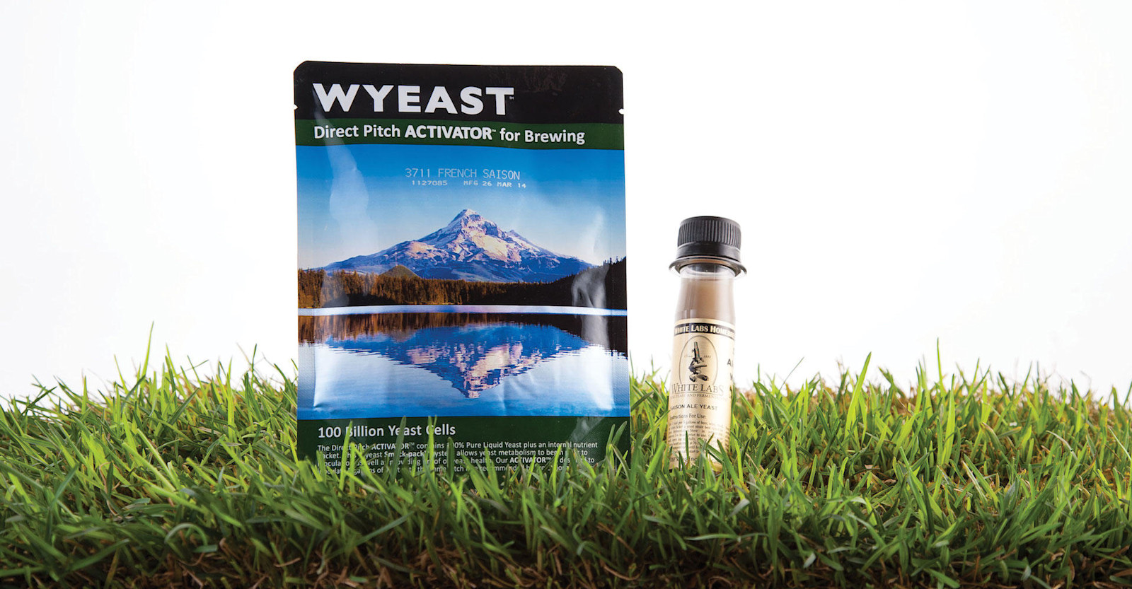 Fermentation Fascination Primary Image