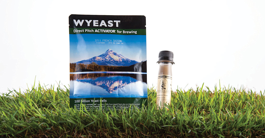 Fermentation Fascination Image