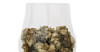 Hop it up at Home with Imperial IPA Image