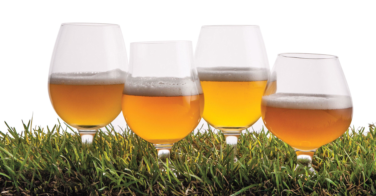 What Makes A Saison A Saison Craft Beer Brewing