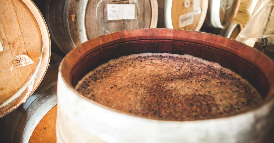 Breakout Brewer: Jester King Brewery Image