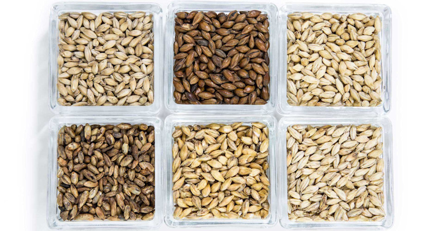 Malt Your Own Barley Image