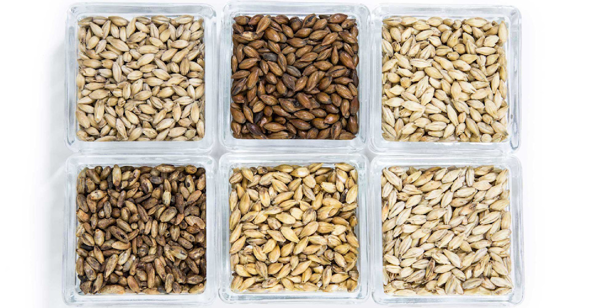 Grain Storage Craft Beer & Brewing