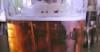 Why Isn't My Beer Clear? Image