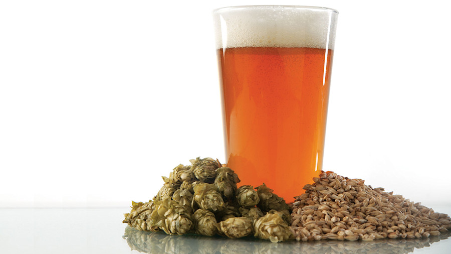 The Top-Rated IPAs at CB&B Image