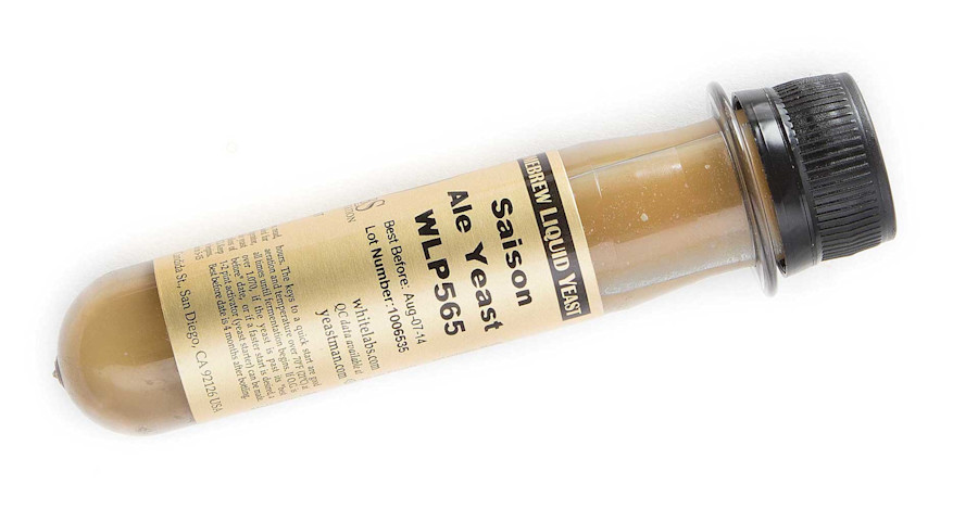 Ask the Experts: Belgian Yeast Strains Image