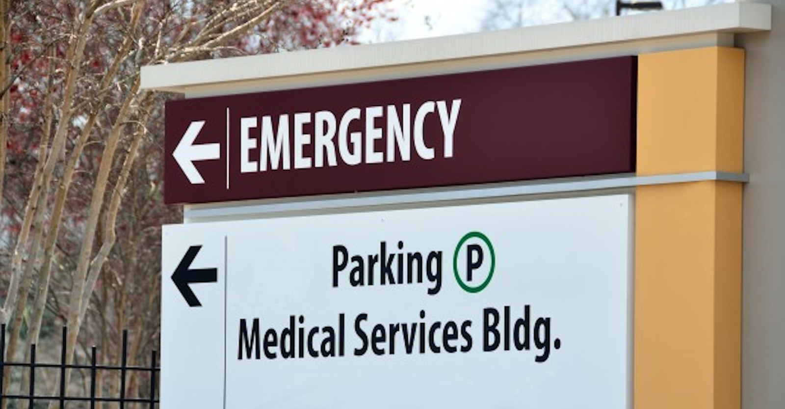 4 Tips for Spine-Friendly Brewing Primary Image