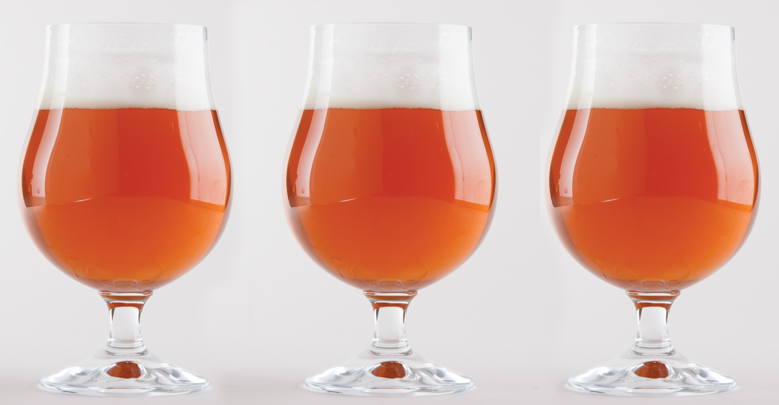 Tag Team Pale Ale Recipe Primary Image