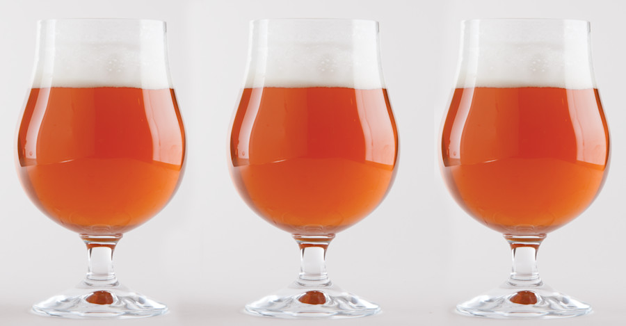 Tag Team Pale Ale Recipe Image