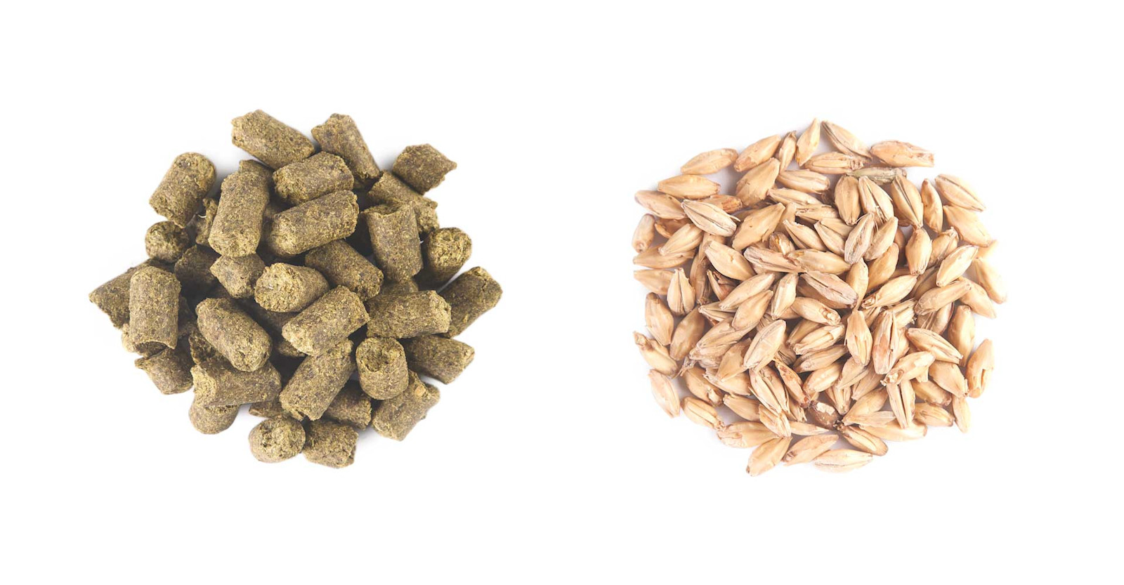 A “Balanced” Beer Primary Image