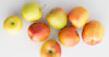 The Orchard Artists Image