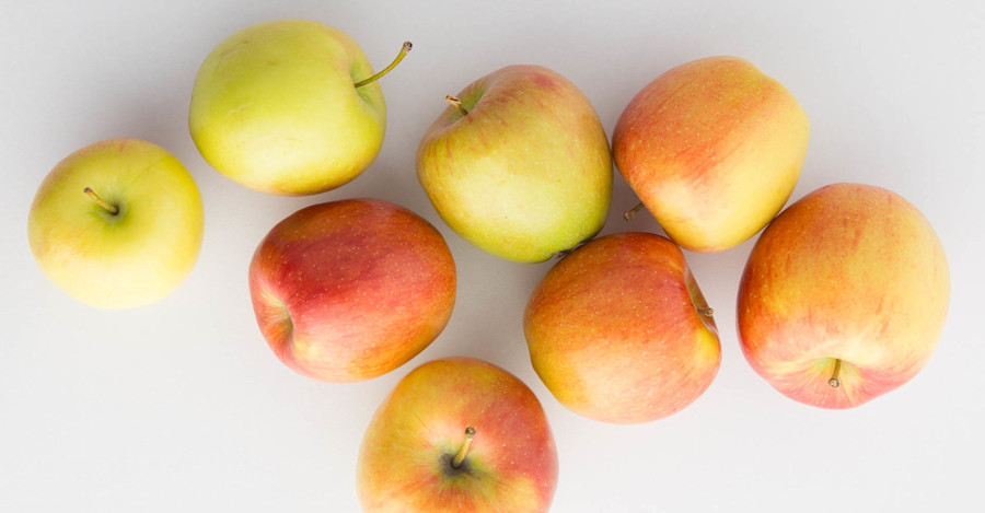 The Orchard Artists Image