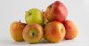 No Orchard? No Press? No Problem! Image