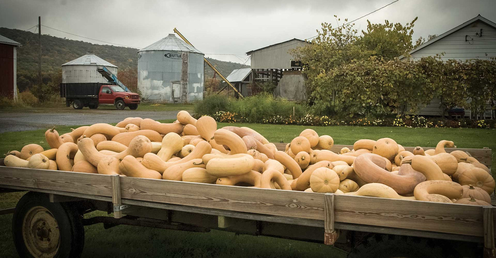 Brewing the Perfect Pumpkin Ale Primary Image