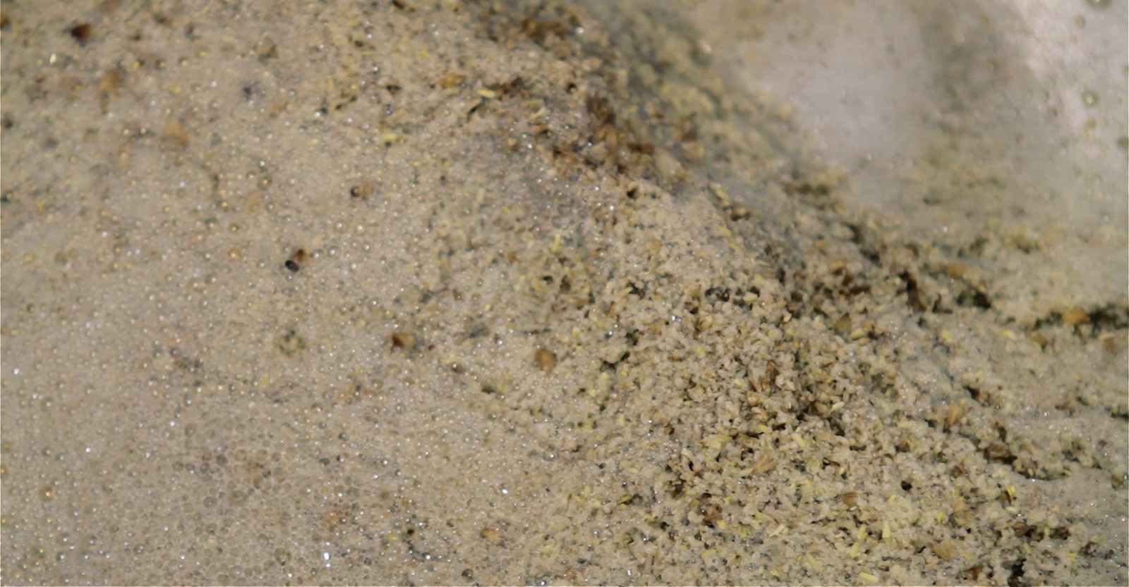 How Efficient is Your Beer? Primary Image